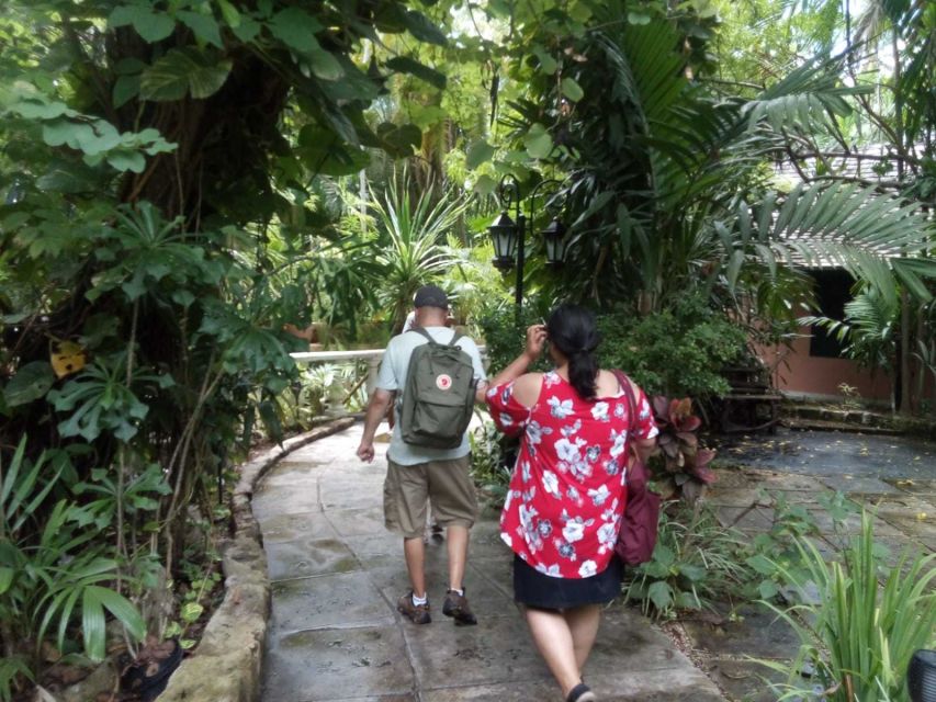 Nassau: Cultural Walking Tour of Downtown Nassau Attractions - Tour Overview and Pricing