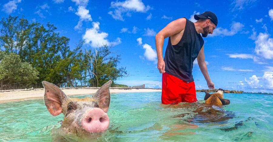 Nassau: Sun Cay and Swimming Pigs Boat Trip With Lunch