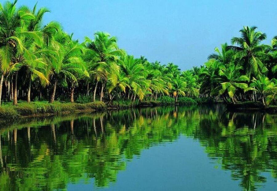 Nature Beauty, Backwater of Kerala Tour (05 Nights/06 Days)
