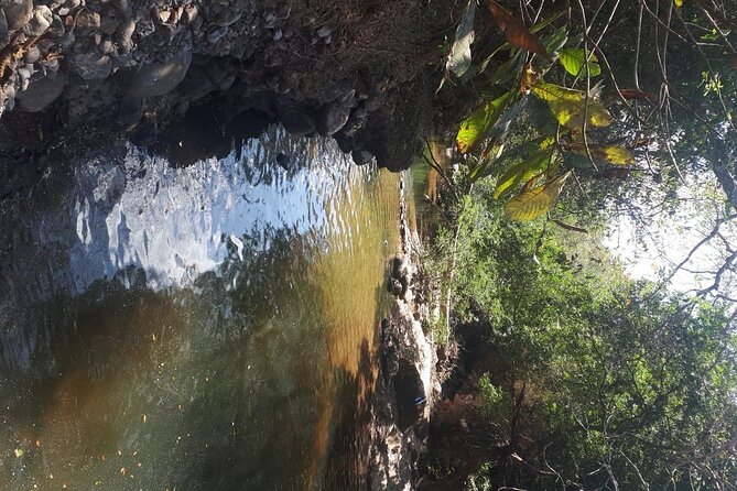 Nature Trail, River in a Wellness Farm & Santa Clara Beach - Overview of the Experience