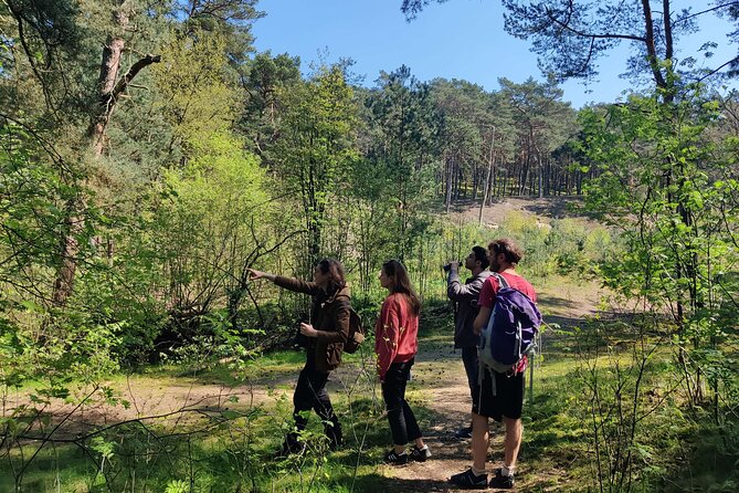 Nature Walk and Wildlife Tour in Sobieszewo Island - Diverse Flora and Fauna