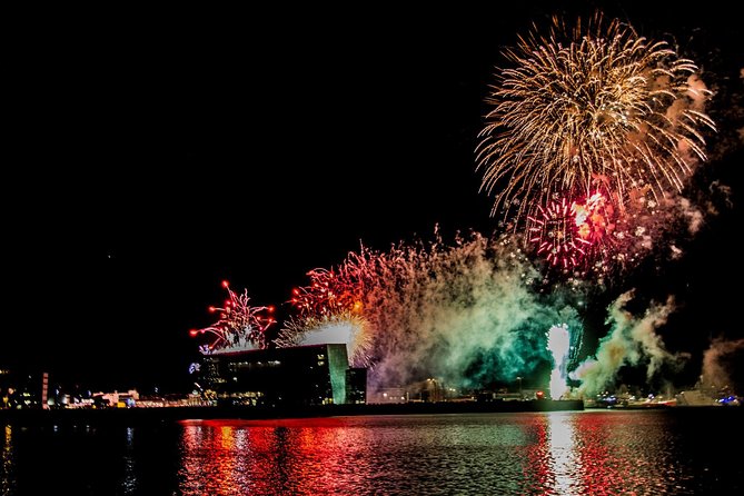New Years Eve Fireworks Cruise in Reykjavik - Overview and Experience