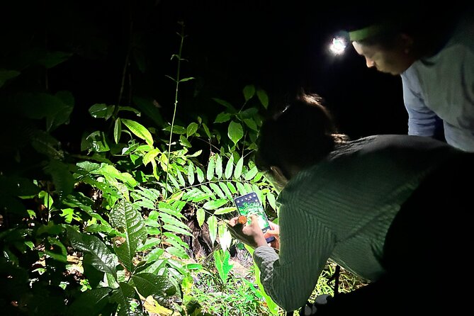 Night Hiking Tour at the Gandoca Manzanillo Mixed Refuge