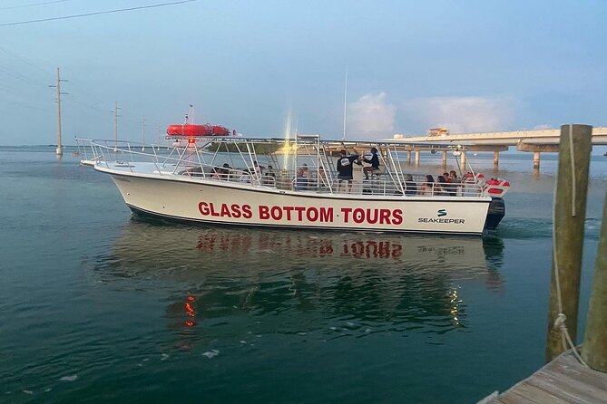Night Tour Glass Bottom Boat in Islamorada - Tour Overview