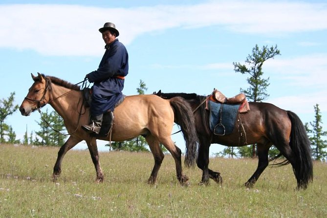 Nomadic Odyssey Mongolia Tour