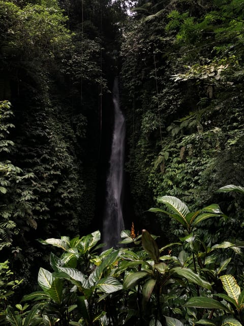 North of Bali Sightseeing Tour