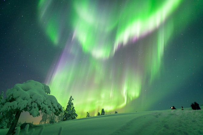 Northern Lights Snowmobile Sleigh Ride