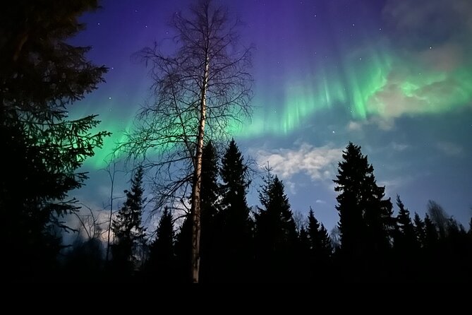 Northern Lights Tour At The Campfire