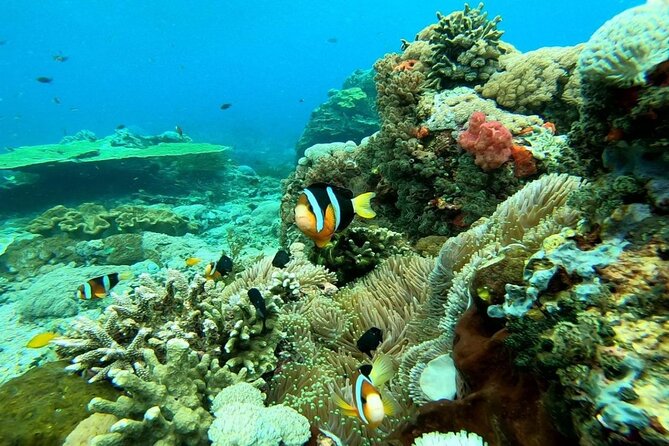Nusa Penida West Tour With 3-4 Spots Snorkeling (All-Inclusive)
