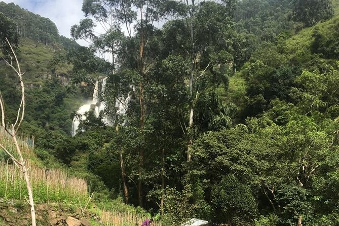 Nuwara Eliya Half Day Private Hiking and Sightseeing Tour