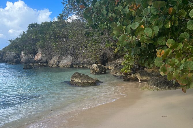 Ochi Rios Beach Day With Jerk Chicken Lunch