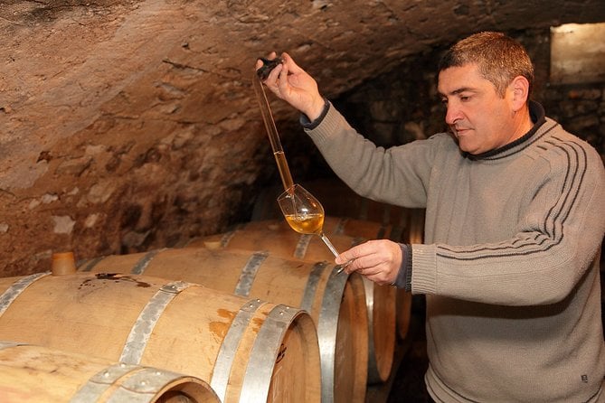 Oenological Animation From the Vine to the Wine - Tour Overview