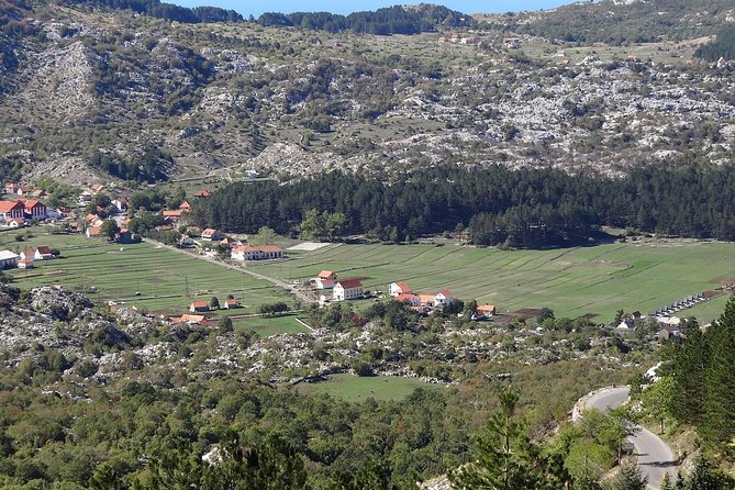 Olive Oil Tour With Tasting Wine & Traditional Food