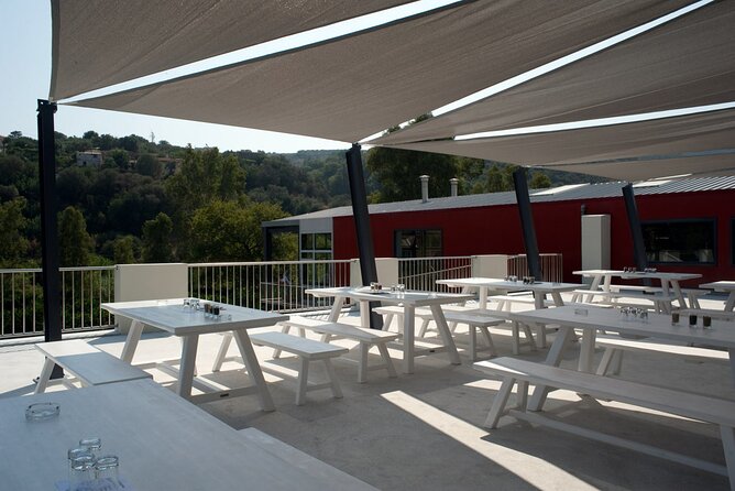 Olive Oil - Wine - Beer Private Tour (Price per Group of 6)