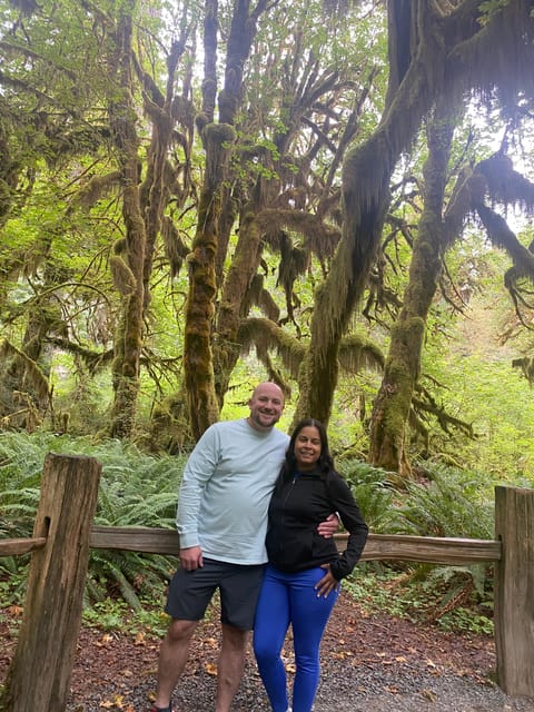 9 Best National Park Tours In Port Angeles