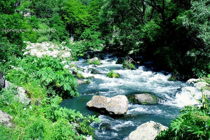 One-Day Dashbashi Canyon Guided Group Tour From Tbilisi - Itinerary and Experience