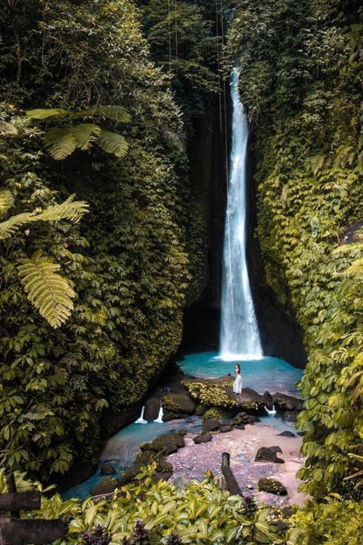 One Day Tour of Ubud Area Includes Entrance Ticket Waterfall - Tour Overview and Pricing
