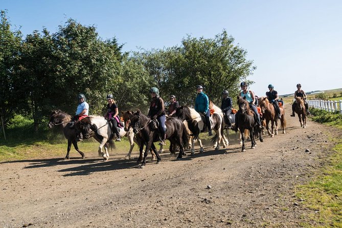 One-Hour Horseback Riding Tour in the Icelandic Countryside