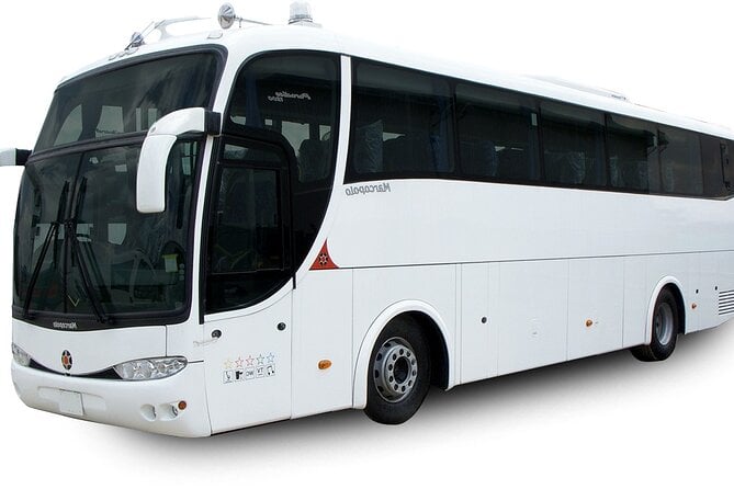 One Way Shared Transfer From Hotels to Manaus Airport - Transfer Overview