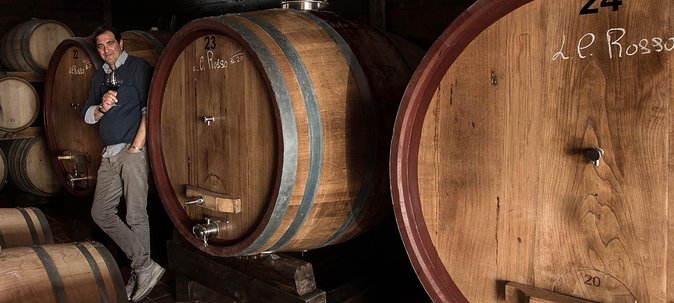 Organic Wine Tasting & Lunch Experience on Mt Vesuvius