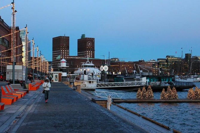 Oslo Shore Excursion: Panorama Tour With Vigeland Sculpture Park & Ski Jump - Tour Overview