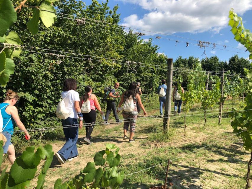 Ostana: Monviso Guided Hiking Day Trip With Tastings - Trip Overview