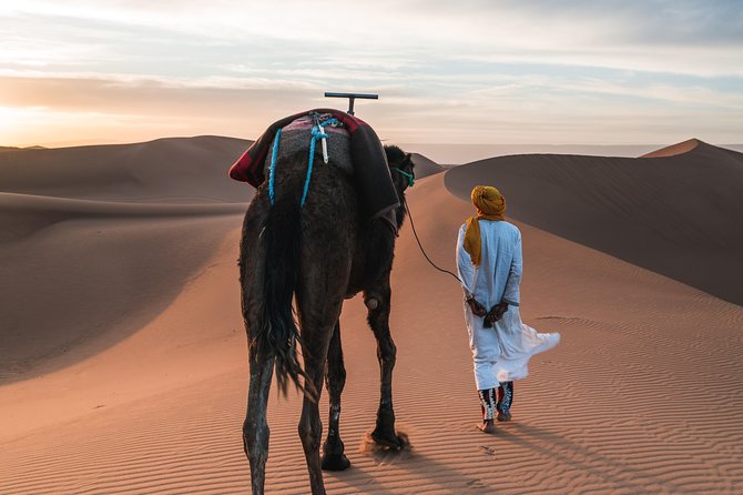 Overnight Desert Tour From Fez – Small Group