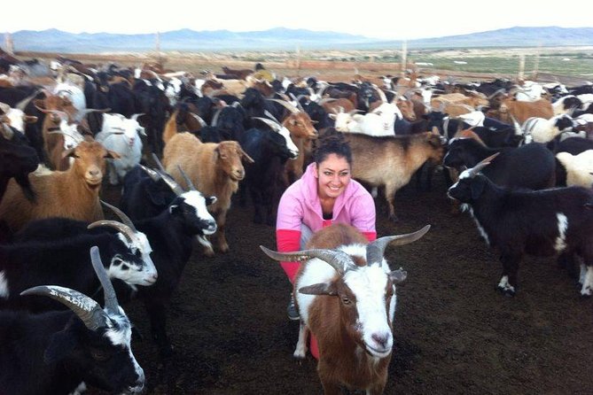 Overnight Semi-Gobi Tour With Nomadic Homestay