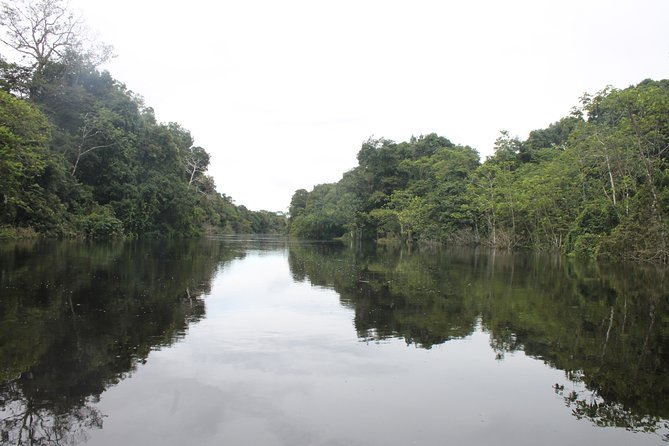 Pacaya Samiria National Park Full Day Tour