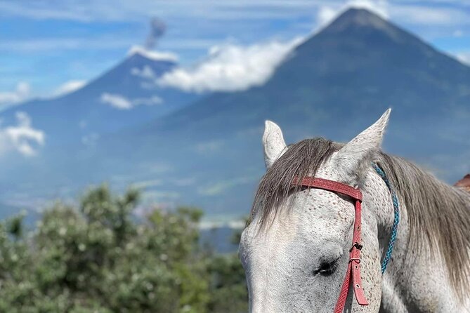 Pacaya Volcano Luxury Horseback Riding Tour - Itinerary Details