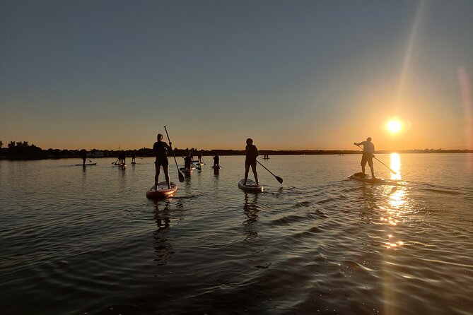 Paddleboarding in Dublin