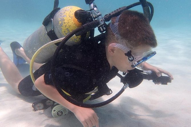 PADI Scuba Diver Course for Beginners Two Days One Night Accommodation Included