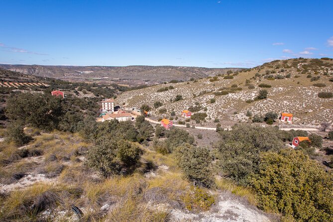 Paella, Olive Oil, Wine & Relax in Rural Estate Outside Madrid