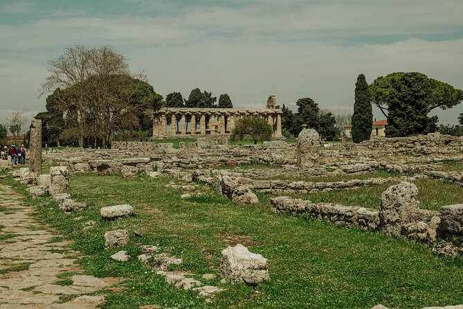 Paestum 3 Hours Archaeological Private Tour - Exploring Paestums Ancient Ruins
