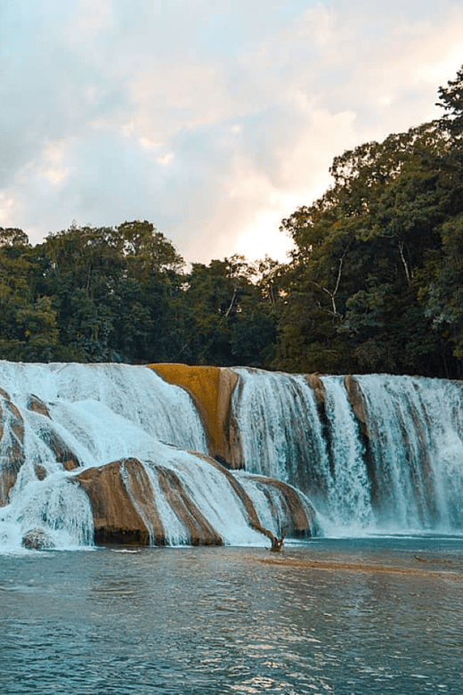 Palenque: Roberto Barrios Waterfall Tour