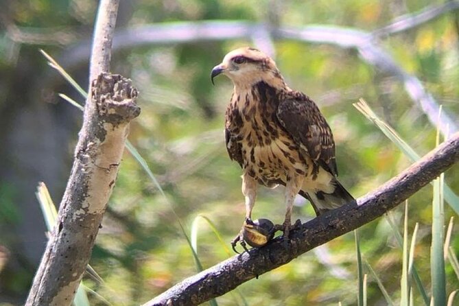 Palo Verde River Boat Trip