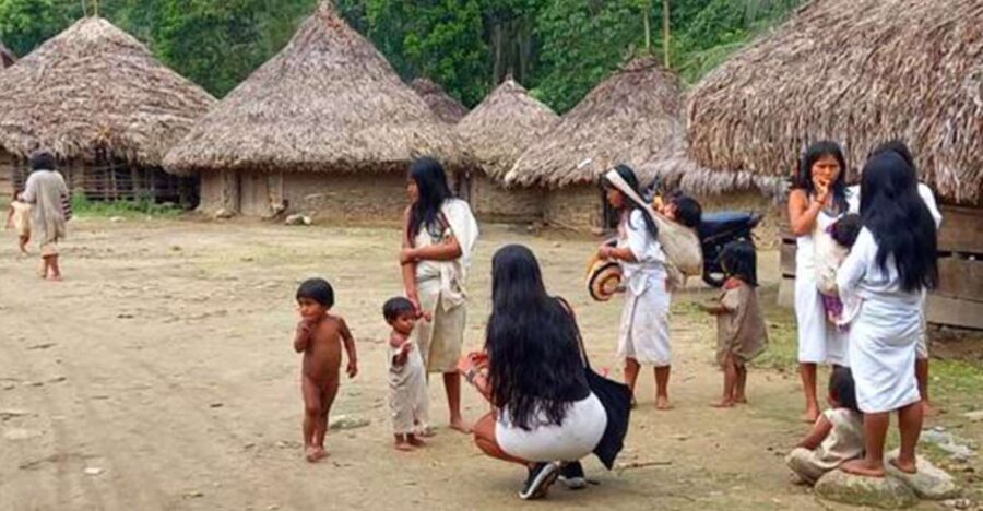 Palomino: Private Tour to Tungueka Indigenous Village