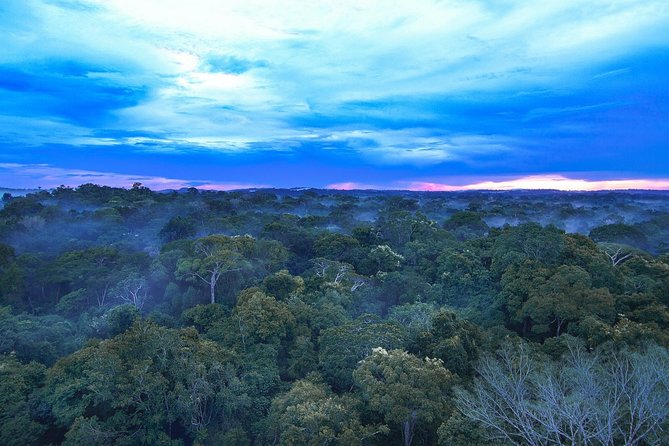 Pantanal & Amazon Holiday – Private Multi Day Tour