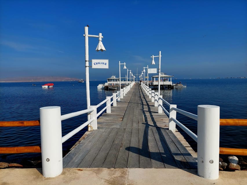 Paracas: Private Boat Tour to Ballestas Islands - Tour Overview