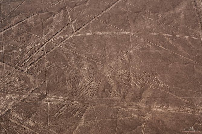 Paracas Shore Excursion: Nazca Lines Tour