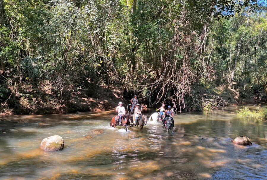 Paraty: 3-Hour Rainforest Horseback Ride - Overview of the Rainforest Ride