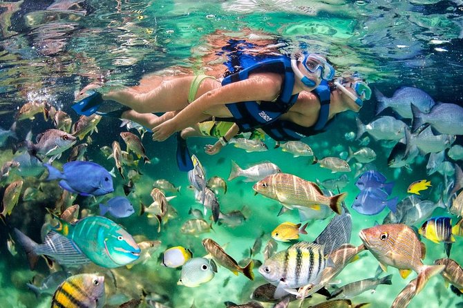 Party Boat - Booze Cruise Punta Cana - Inclusions and Costs of the Cruise