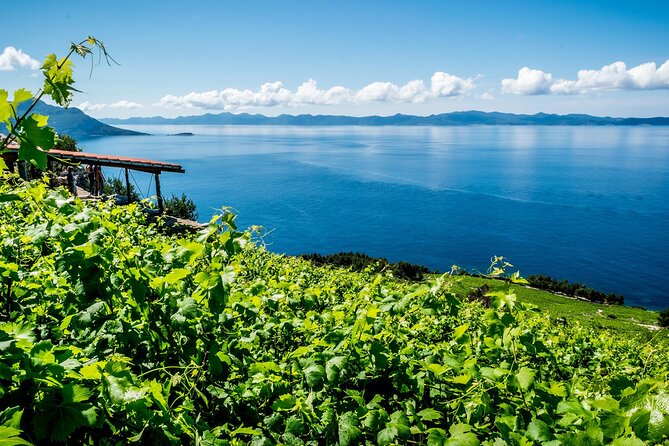 Pelješac Gourmet & Wine Tour - Tour Overview and Inclusions