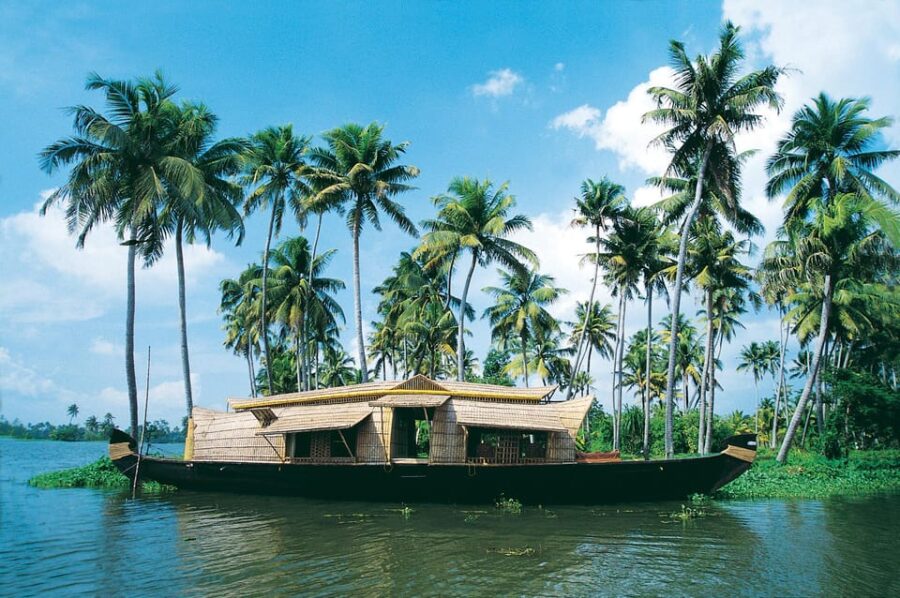 Periyar National Park With Kerala Tea Garden and Beach Tour