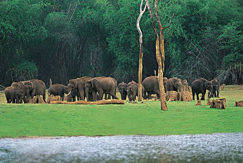 5 Best Tours In Thekkady