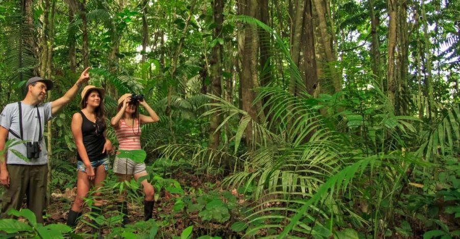 Personalized Tours: Tambopata Jungle Adventure 4D3N