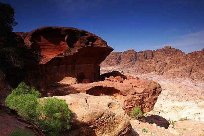Petra Sightseeing 1 Day Tour From Sharm El Sheikh - Inclusions and Exclusions