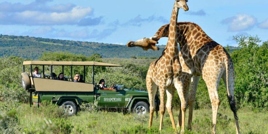 Phezulu Safari Park & Mandela Capture Site Half Day Tour