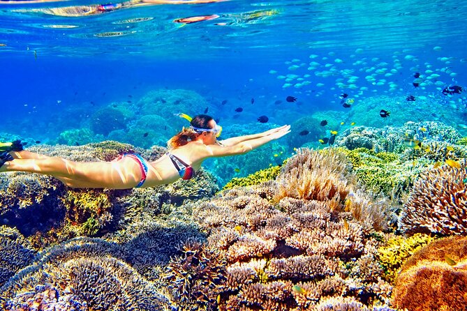 Phuket Similan Island Andaman Ocean Tour by Van and Speedboat