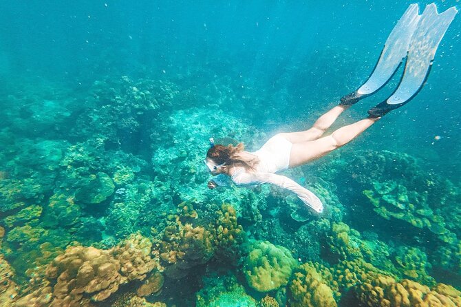 Phuket to Maya and Phi Phi Island Withlunch Small Group Tour